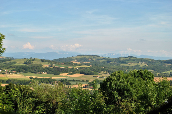 Agence Drôme des Collines (26)
